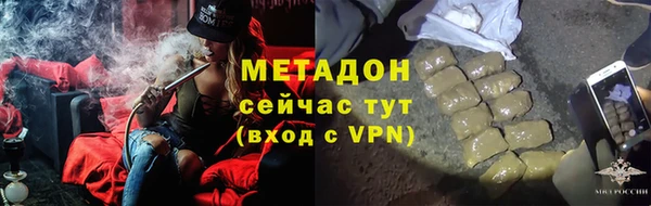 индика Киреевск