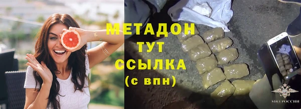 индика Киреевск