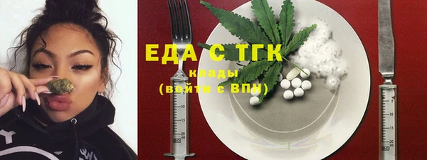 индика Киреевск