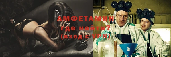 индика Киреевск