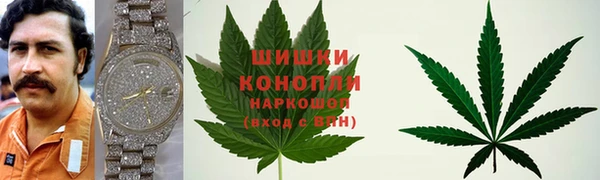 индика Киреевск