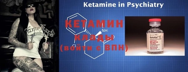 индика Киреевск
