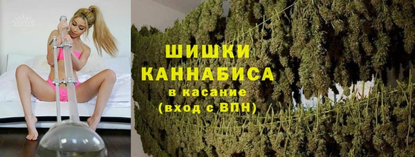 ГАЛЛЮЦИНОГЕННЫЕ ГРИБЫ Киренск