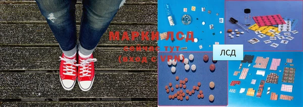 индика Киреевск