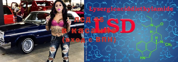 индика Киреевск