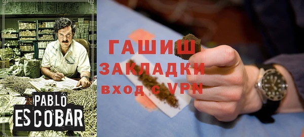 индика Киреевск