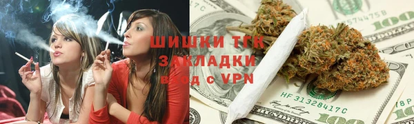 индика Киреевск
