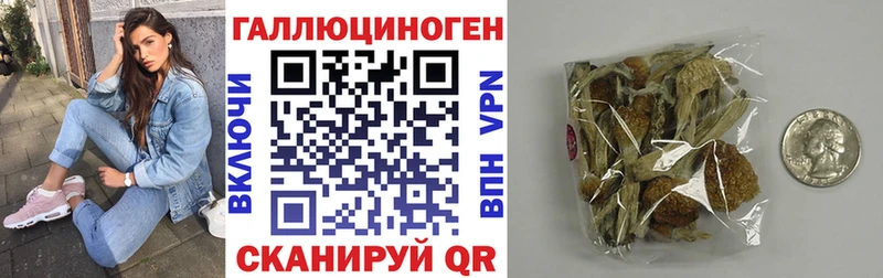 Купить  Белебей  Псилоцибиновые грибы GOLDEN TEACHER 