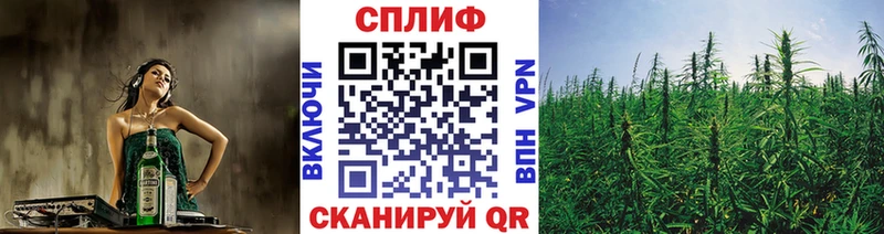 Купить  Белебей  Канабис индика 